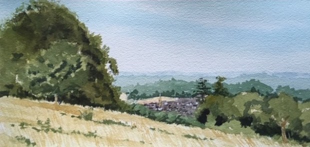 Steers field to Dorking